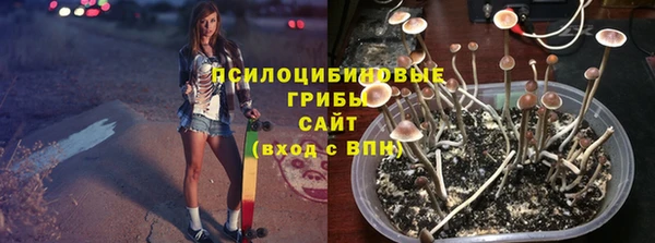 СК Алзамай