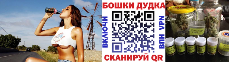 купить наркотики сайты  Новороссийск  Бошки марихуана Ganja 